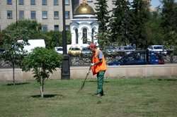 Итоги работ по озеленению территорий в городе Иркутске