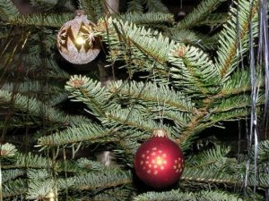 В АМО новогодние елки будут установлены в микрорайонах Цементный, Китой, Юго-Восточный и в Мегете