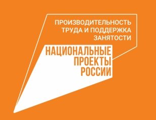 Семнадцать предприятий Иркутской области включились в нацпроект «Производительность труда и поддержка занятости» в текущем году