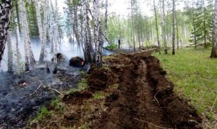 Два лесных пожара ликвидировано за сутки в Иркутской области