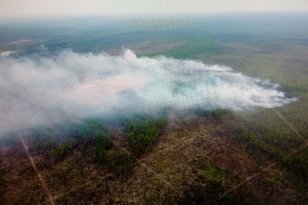 Губернатор Игорь Кобзев: Дополнительные силы для тушения пожаров в Иркутской области выделит Минобороны России