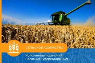 В Иркутской области в 2022 году стартует новый вид грантовой поддержки для сельхозпредприятий