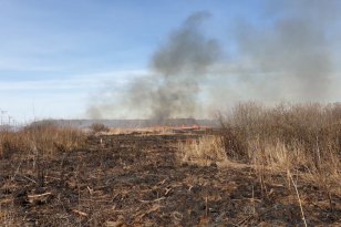 В Иркутской области создана межведомственная рабочая группа по осуществлению мер пожарной безопасности в агропромышленном комплексе региона