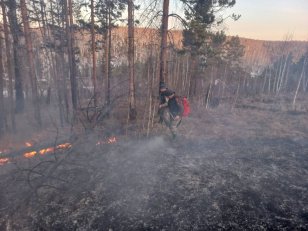 За минувшие сутки в лесном фонде в Иркутской области обнаружено и ликвидировано одно возгорание