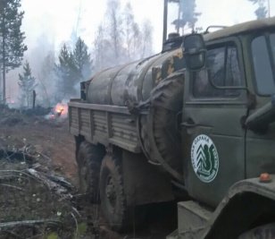 За минувшие сутки в лесном фонде в Иркутской области обнаружено и ликвидировано пять возгораний