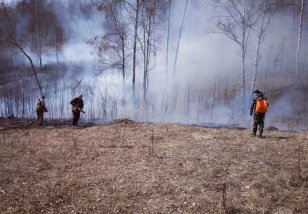 За минувшие сутки в лесном фонде в Иркутской области обнаружено и ликвидировано три возгорания