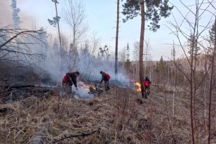 За минувшие сутки в лесном фонде в Иркутской области вновь обнаружено и потушено одно возгорание