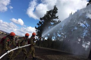 На утро 19 июня в Иркутской области действует один лесной пожар