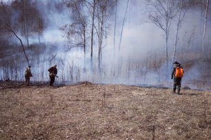 За минувшие сутки в лесном фонде Иркутской области ликвидирован один пожар