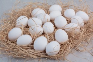 В Приангарье наблюдается рост производства куриных яиц