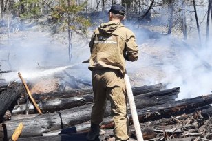 На утро 10 августа в Иркутской области действует пять лесных пожаров