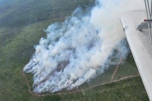 На утро 9 августа в Иркутской области действует четыре лесных пожара