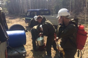 Павел Кирдяпкин: Арендаторы участков в лесном фонде Иркутской области участвовали в тушении всех пожаров на закрепленных территориях