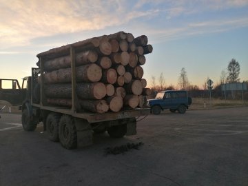 В Иркутской области сотрудниками полиции пресечена незаконная рубка древесины