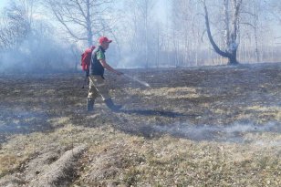 В Иркутской области за минувшие сутки зарегистрирован и ликвидирован один лесной пожар
