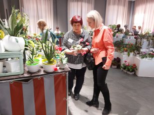 Выставка комнатных растений начала свою работу в Иркутске