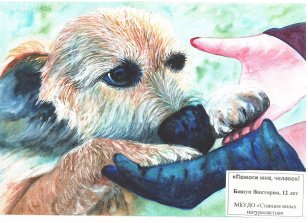 Служба ветеринарии Иркутской области подвела итоги конкурса рисунков «Мой питомец – моя ответственность!»