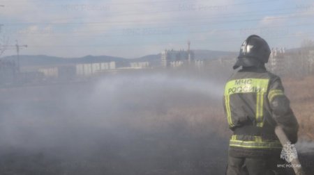 48 ландшафтных пожаров ликвидировали огнеборцы за выходные