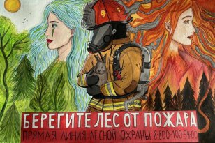 В Иркутской области заканчивается региональный конкурс «Сохраним лес живым»