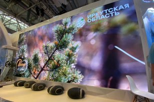 За стенд Иркутской области на выставке-форуме «Россия» за неделю проголосовали более 22,5 тысячи раз