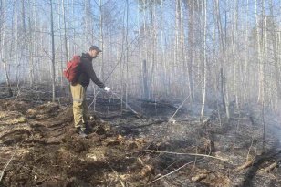 Оперативность тушения лесных пожаров в первые сутки в Иркутской области остается на уровне 100%