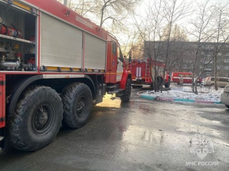 31 человека спасли сотрудники МЧС России за неделю в Новосибирской области