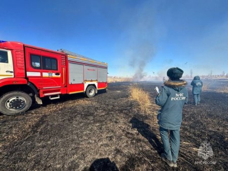Патрульные группы за воскресенье установили 7 нарушителей особого противопожарного режима в Забайкалье