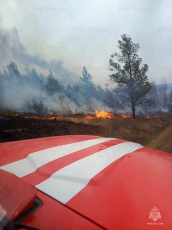 Пожары в двух садоводствах Братска ликвидируют пожарные подразделения