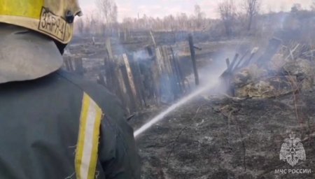 В Новосибирске усиленная группировка МЧС России защитила два садовых общества от ландшафтного пожара