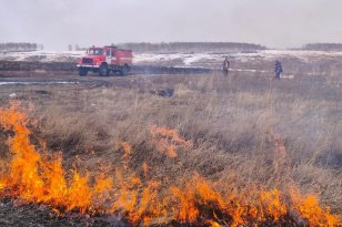В лесном фонде в Иркутской области накануне потушили шесть пожаров