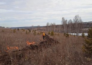 За минувшие сутки в лесном фонде в Иркутской области ликвидировали шесть пожаров