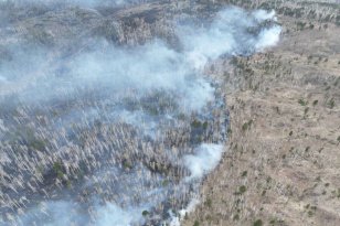 Лесные пожарные Приангарья потушили возгорание, действовавшее в шести километрах от Вихоревки