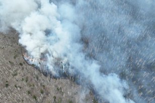 Лесные пожарные Приангарья предотвратили переход пожара с земель Минобороны на поселок Пионерск