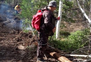 Накануне в лесах Иркутской области потушили восемь пожаров