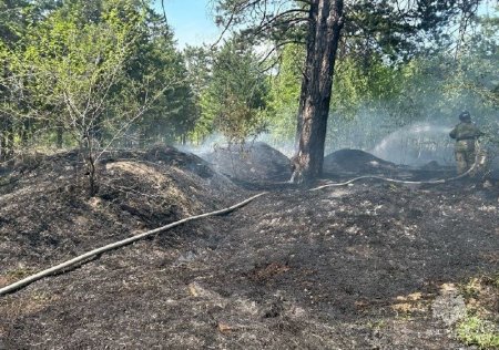 46 пожаров из 58: на выходных забайкальцы снова жгли траву и мусор