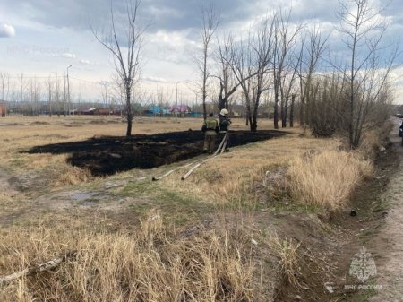 Десять нарушителей особого противопожарного режима привлечены к ответственности в Забайкалье за неделю