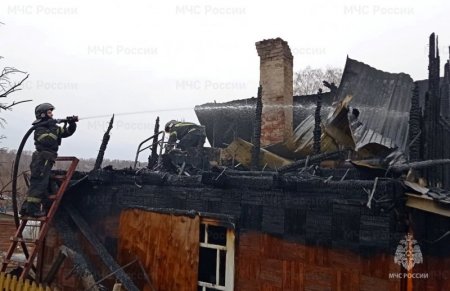 Количество пожаров в Новосибирской области увеличилось в 2,5 раза