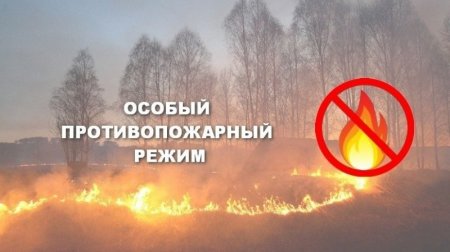 На территории г. Красноярска вводится особый противопожарный режим