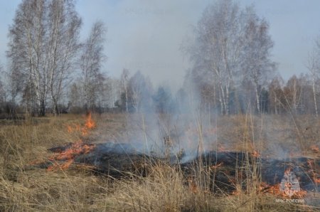 О порывах ветра до 20 м/с, высоких и чрезвычайных классах пожарной опасности в лесах Иркутской области информируют метеорологи