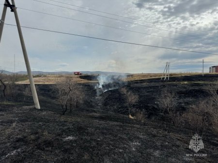 Огнеборцы предотвратили распространение крупного ландшафтного пожара в Краснокаменском районе