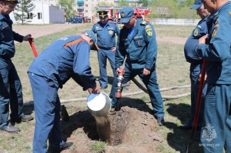 Сотрудники Главного управления продолжают высадку деревьев в рамках Всероссийской акции В«Сад памятиВ»