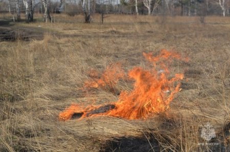 Усиление ветра на фоне высоких и чрезвычайных классов пожарной опасности в лесах вновь прогнозируется в Иркутской области