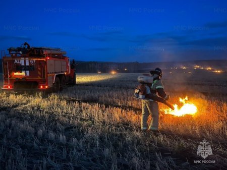 В Красноярском крае действует особый противопожарный режим