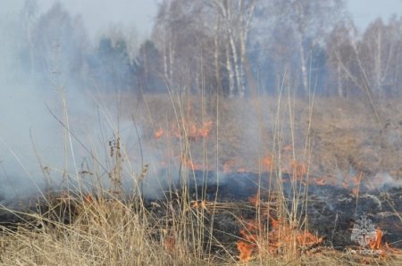 Высокие классы пожарной опасности ожидаются в большинстве районов Иркутской области 14-16 мая