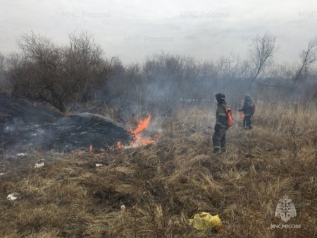 Высокие классы пожарной опасности, порывистый ветер ожидаются в ряде районов Иркутской области 3 мая
