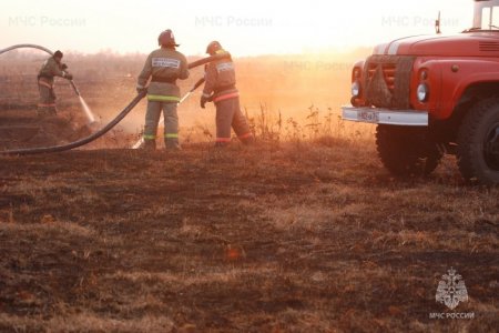 За 4 дня в Красноярском крае ликвидировано 38 палов травы