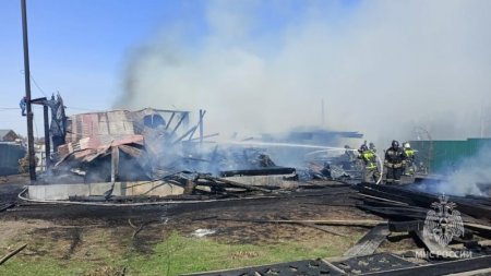 За неделю в регионе снизилось количество пожаров
