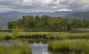 В Иркутской области появился новый памятник природы регионального значения «Таловский озерно-болотный комплекс»