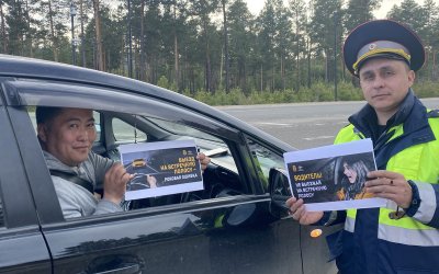 В Кяхтинском районе автоинспекторы напомнили водителям о соблюдении ПДД
