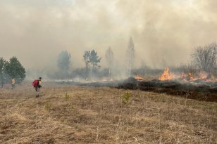 В лесах Иркутской области накануне потушили 17 возгораний